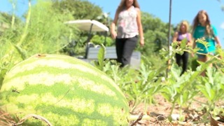 School gardens inspire students to learn, eat healthy