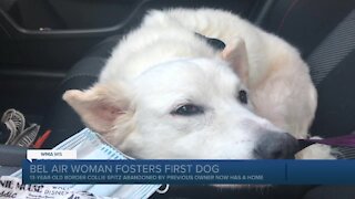 Bel Air woman's first foster dog