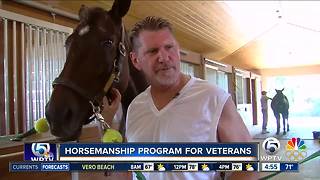 Horses providing therapy for military veterans in Loxahatchee