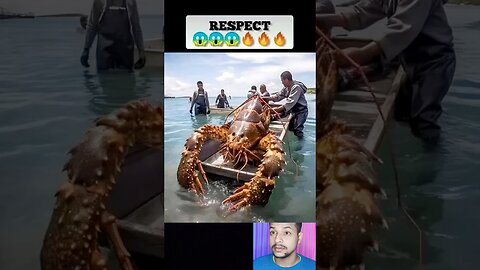 Giant Lobster 🦞💯🔥💯🦞