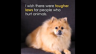 Tougher Laws For Animal Abuse [GMG Originals]