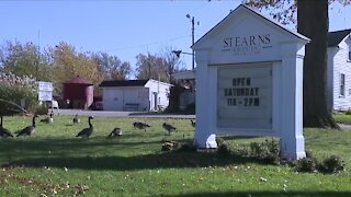 Stearns Homestead in Parma offers reward after possible attack leaving 2 goats, 1 sheep dead