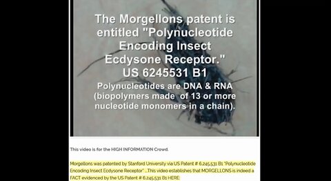 Another Bioweapon ~ Patent for Chemtrailed Morgellon's Disease. This is What True Evil Looks Like