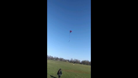 Kite flying in a clear blue sky