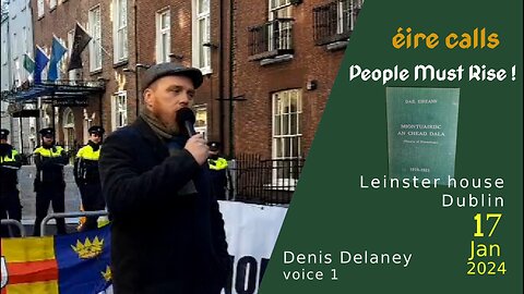 Denis, Assembly nr 2 of Irish Nationals, Leinster House, Dublin, Ireland 17 Jan 2024