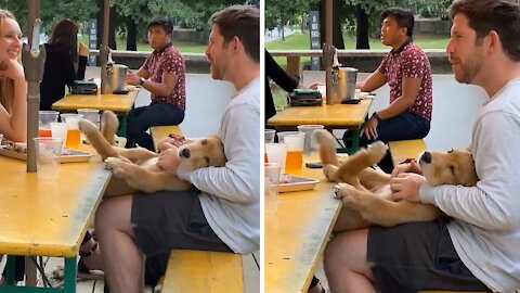 Puppy adorably gets "happy feet" while out for drinks