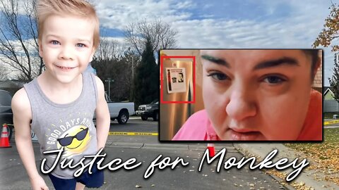 JUSTICE for MONKEY | Sarah Wondra Full Arraignment | MISSION MONKEY