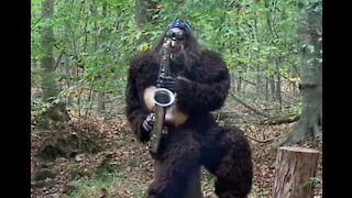 Famoso Pé-Grande visto na floresta a tocar saxofone