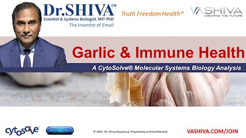 Garlic and Immune System