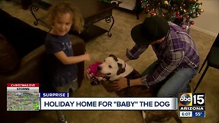 'Love at first sight' for family who adopted only pup left after AHS event