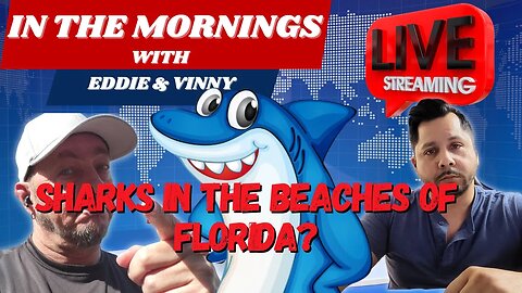In The Mornings With Eddie and Vinny | Sharks in the beaches of Florida
