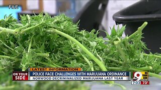 Marijuana ordinances could present challenge for police