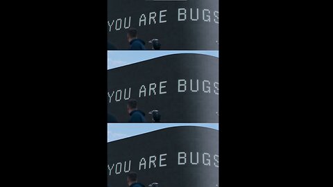 WE ARE BUGS! 3 BODY PROBLEM