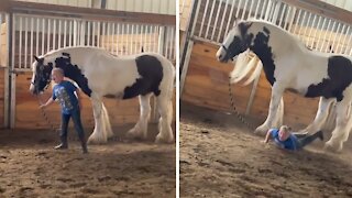 Horse immediately stops when boy falls to the ground