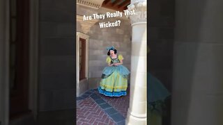 Disney's Magic Kingdom | Are Cinderella's Step Sister Really That Wicked?