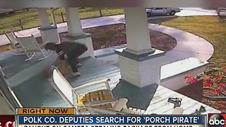 'Porch Pirate' caught on camera in Lakeland