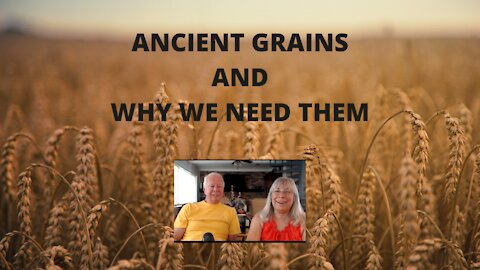 ANCIENT GRAINS AND WHY WE NEED THEM