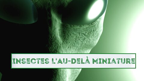 Alien Theory / Insectes L'Au-Delà Miniature