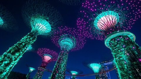 Singapore Garden Rhapsody. Must watch!