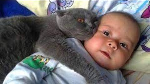 CAT LOVES BABIES INSTEAD OF MILK