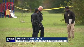 Detroit Police investigate skeletal remains found in sewer near Steopel Park