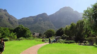 SOUTH AFRICA - Cape Town - Kirstenbosch National Botanical Garden (Video) (Swy)