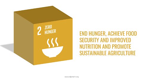 The Hard Truth About The United Nations Sustainable Development Goals: SDG 2 - Zero Hunger