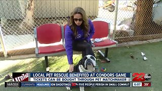 Local pet rescue benefited at tonight's Condors game