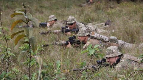 Jungle Training - Exercise Cartwheel 2022