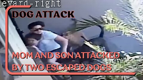 Dog Attack: Mom And Child Attacked By Two Dogs, Know Your Outs, What To Do In Dog Attack