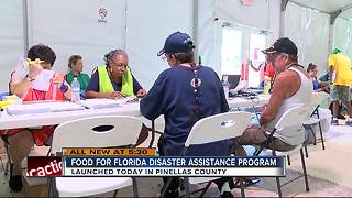Hurricane food assistance program begins in Pinellas County