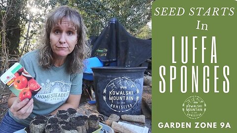 Seed Starts in Luffa Sponges | Garden Zone 9A | All Natural Seed Starting Materials