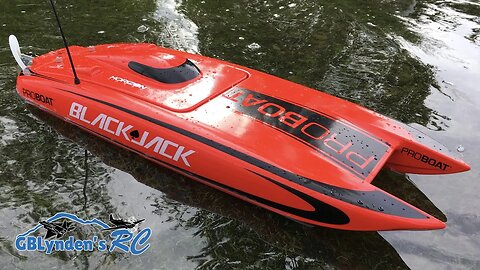 6S Smoke On The Water - ProBoat Blackjack 24 inch Catamaran Brushless RTR RC Boat