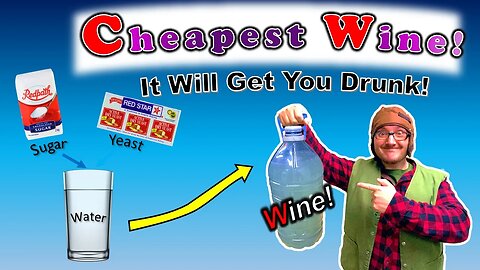 The Cheapest Homemade Wine! (How to Make Wine)