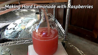 Making Hard Lemonade with Raspberries - Recipe Included