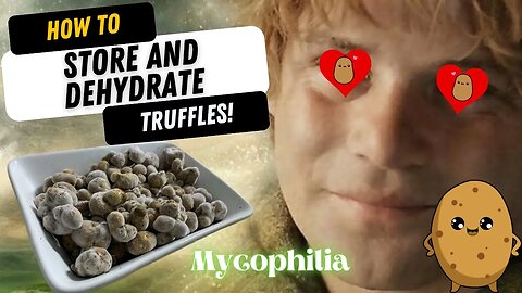 Best Long-Term Truffle Storage and Dehydration Method