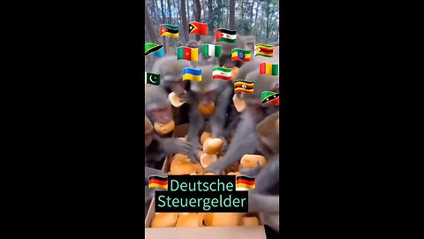 Deutsche Steuergelder
