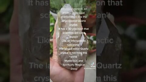 Elestial Quartz Meditation Elestial Quartz Crystal Astral Travel Crystals Jacre Quartz Crystals