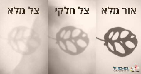 6 טיפים לגינון ביתי