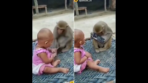 Monkey and baby grab the phone