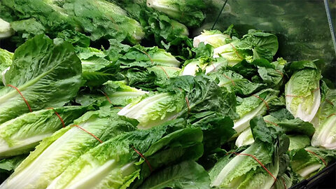 Romaine Lettuce Linked to 67 E. Coli Infections Across US, Says CDC