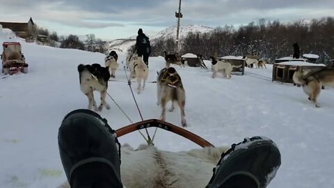 Carl Byington Dog Sledding in Norway 3