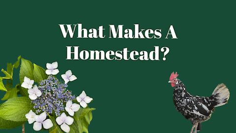 What Makes A Homestead?
