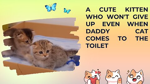 A cute kitten who won't give up even when daddy cat comes to the toilet