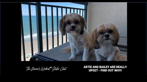 ARTIE AND BAILEY ARE REALLY UPSET - FIND OUT WHY - TDW Studio Chat 110 with Jules and Sara