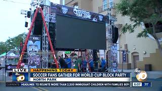 North Park hosts giant World Cup Party