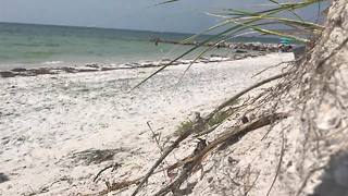 Researches studying erosion caused by Irma - Digital Short