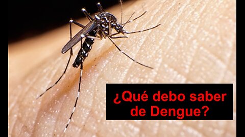 #38-SESGOS. Una colombiana, un boliviano y un argentino enseñan Dengue pediátrico a un uruguayo