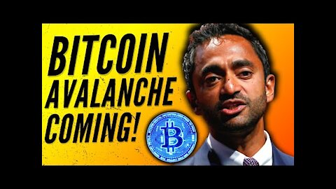 Chamath Palihapitiya Bitcoin - 'There is a AVALANCHE coming for Bitcoin!' | Bitcoin Price Prediction