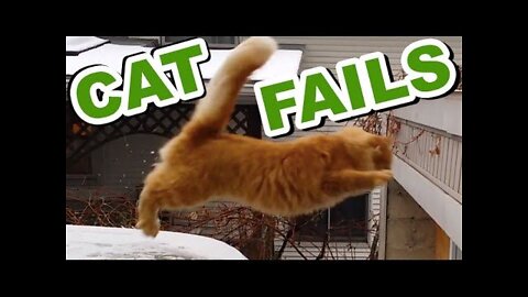 funny videos,funny video,funny animal videos,Fails,Funny Fails,fail, compilation,fail compilation,epic fails,epic fail ,weekly,viral,failarmy,comp,best fails,fails compilation,viral  video,epic,failure,ultimate,bloopers,fails of the week,funniest moments,Bes